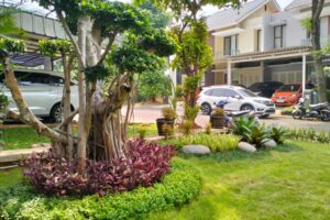 Galeri-Perawatan-Taman-SAL-10 Galeri-Perawatan-Taman-SAL-10
