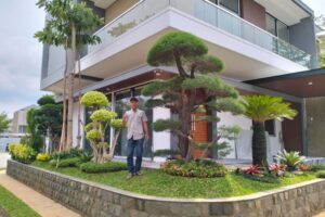 Galeri-Perawatan-Taman-SAL-17 Galeri-Perawatan-Taman-SAL-17