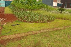 Gambar WhatsApp 2025-10-29 pukul 19.16.25_5ad26535 Gambar WhatsApp 2025-10-29 pukul 19.16.25_5ad26535